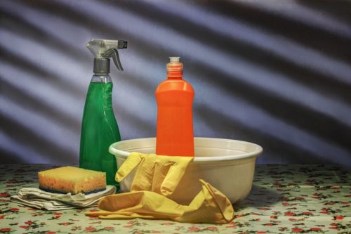 How to Remove Mold From Your Home