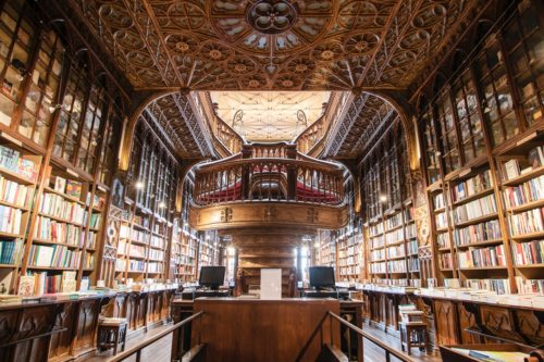 A Guide on the Best Books To Collect for Beginners