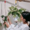 The Most Beautiful Hanging Plants to Put In Your Home